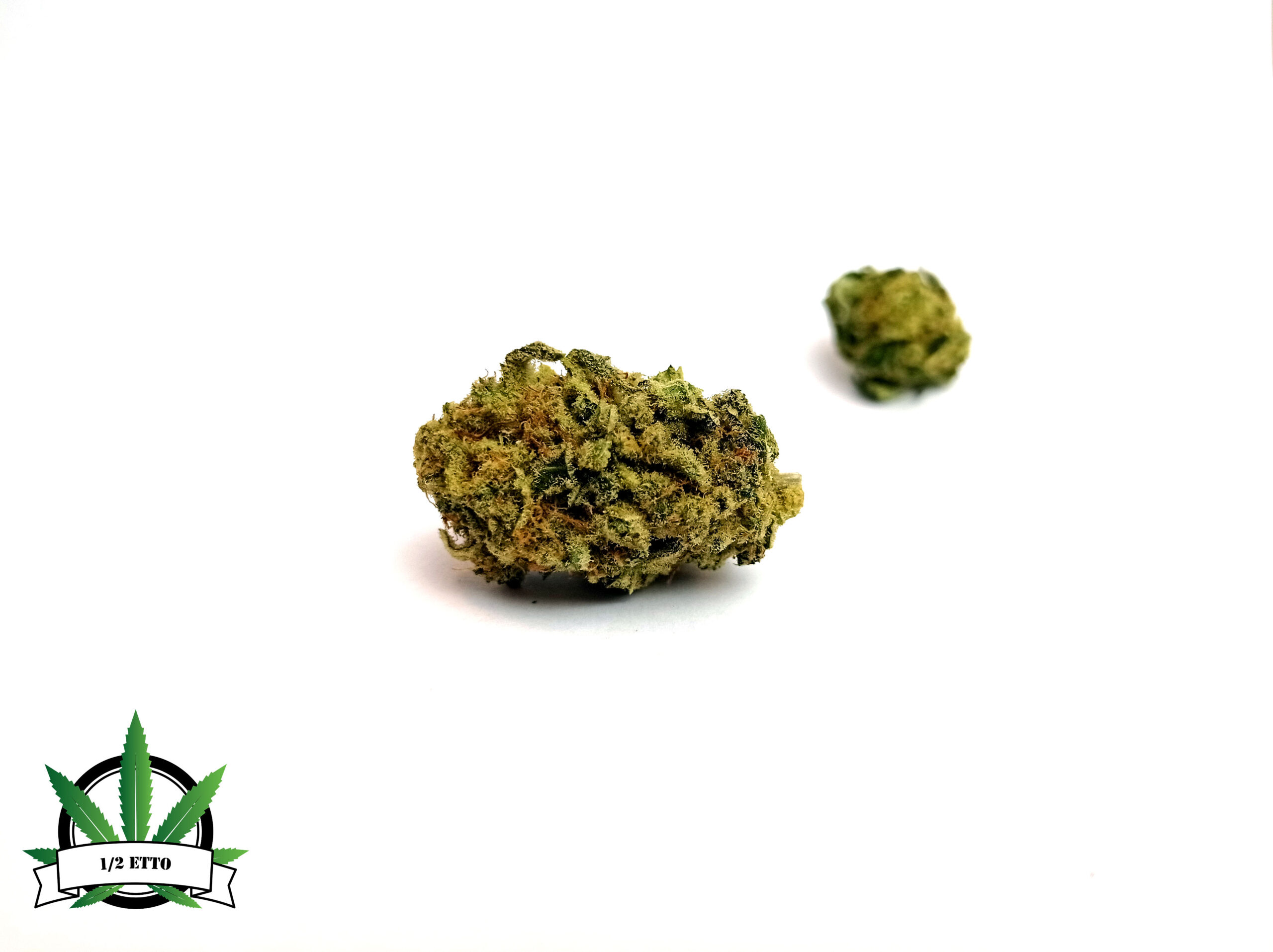 CRITICAL KUSH MEZZETTO H24 CRITICAL KUSH MEZZETTO H24