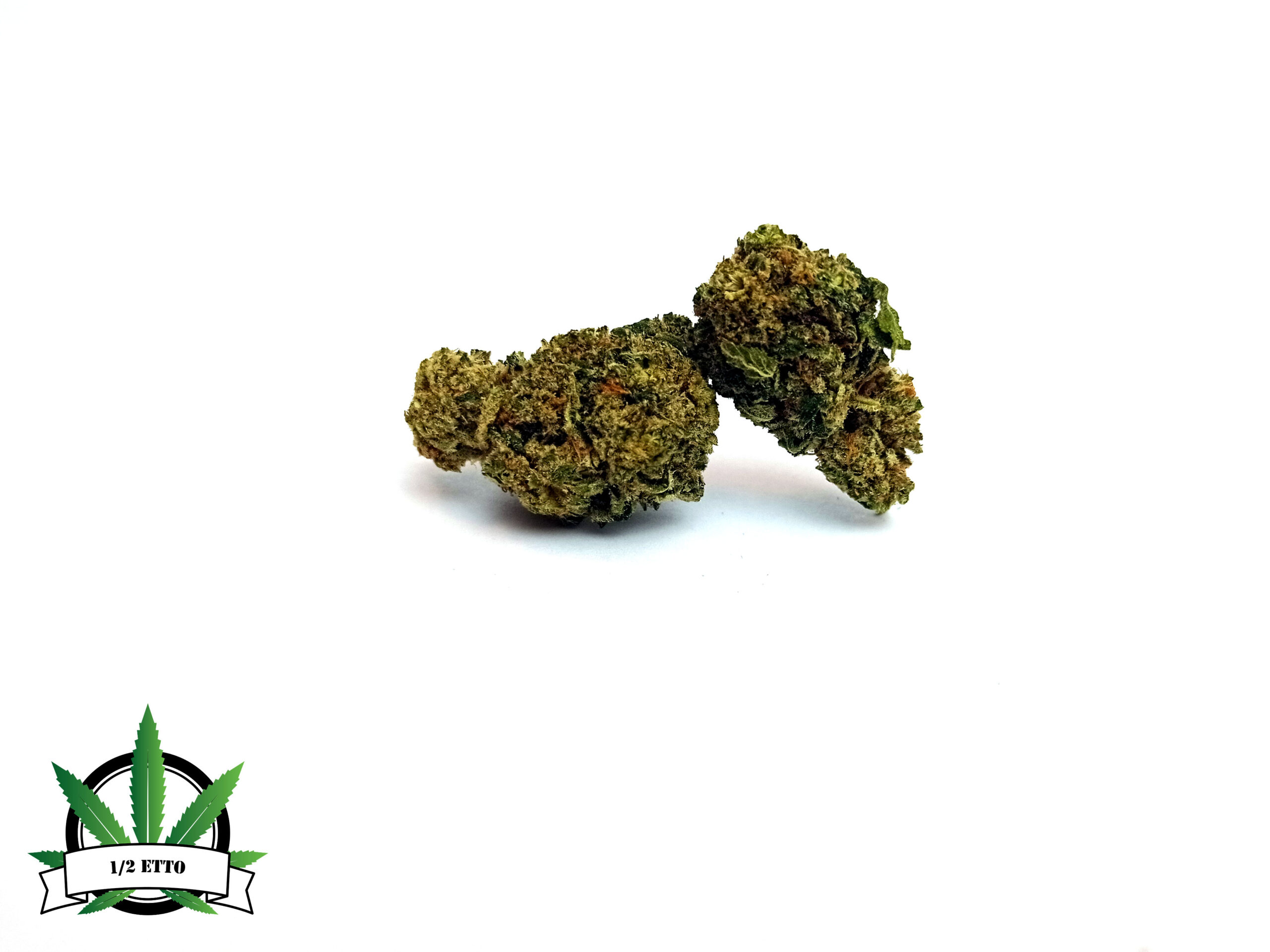 CRITICAL KUSH MEZZETTO H24 ROMA CRITICAL KUSH MEZZETTO H24 ROMA