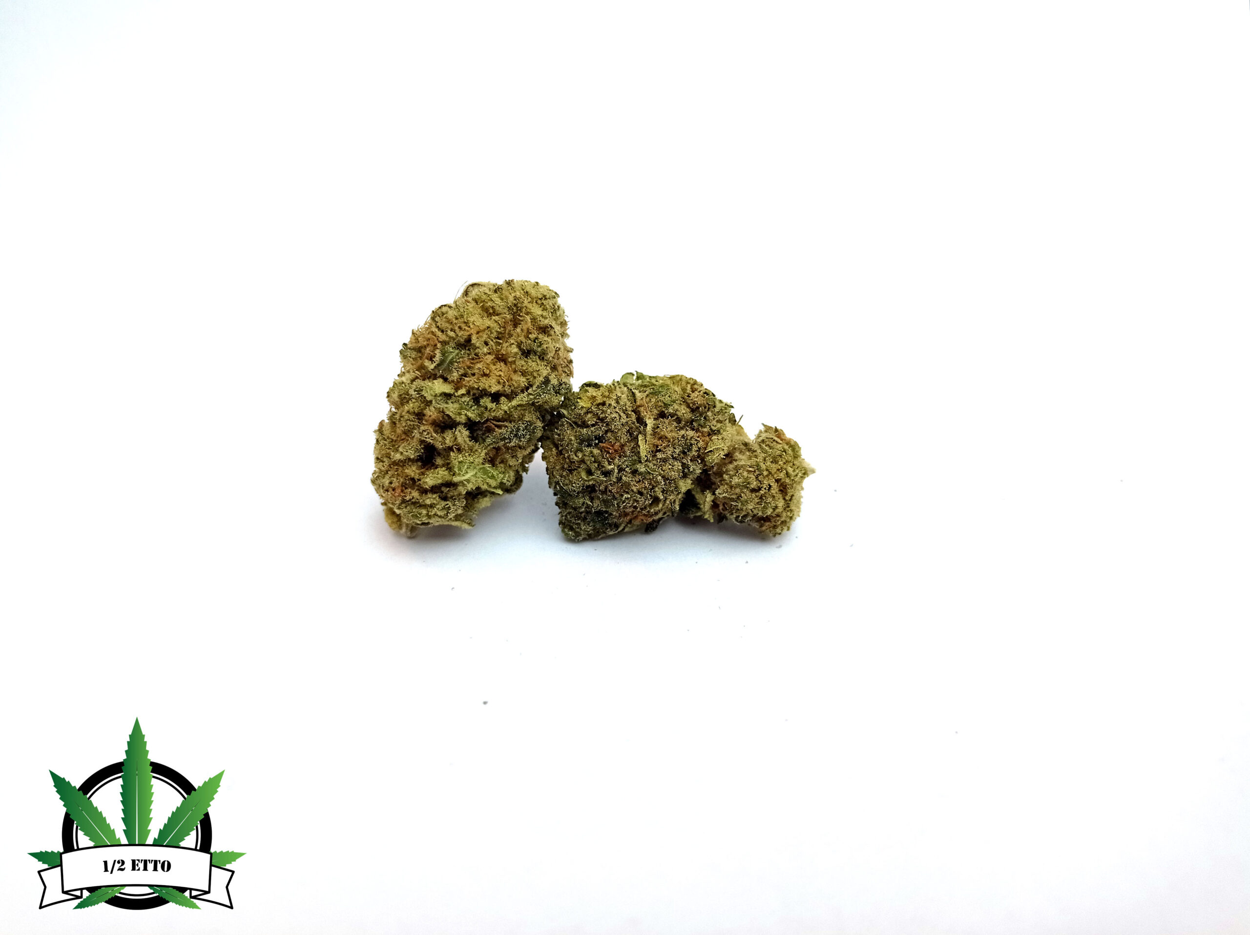 CRITICAL KUSH H24 ROMA CRITICAL KUSH H24 ROMA