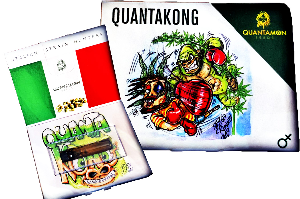 quanta kong fotodipendente mezzetto h24 quanta kong fotodipendente mezzetto h24